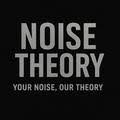 Noise Theory
